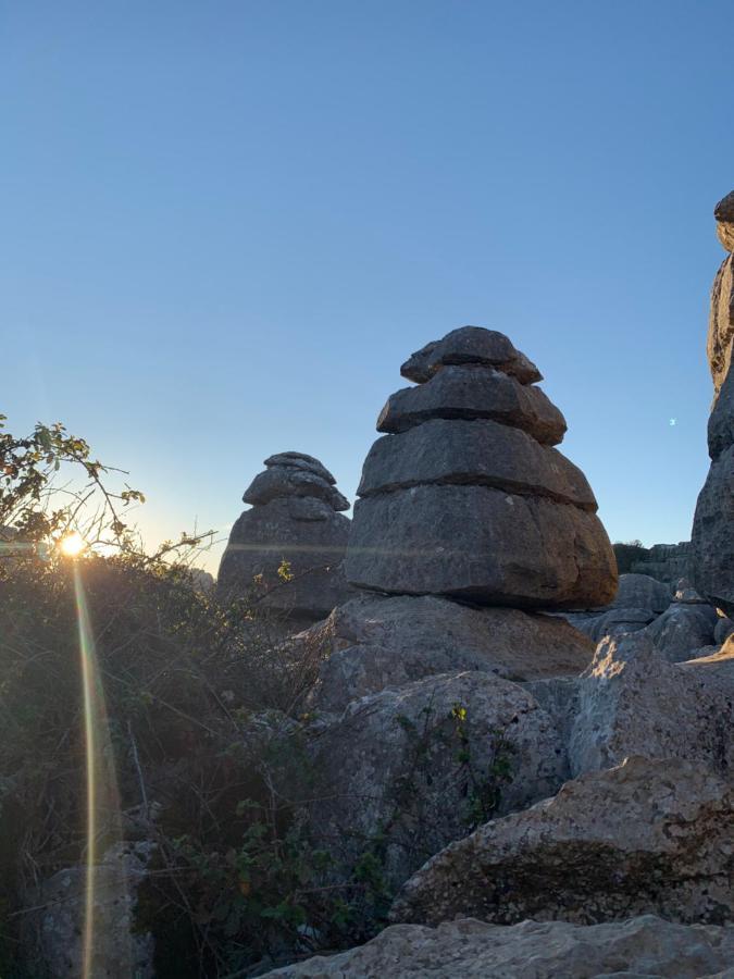 Вілла Cortijo El Alcornocal Малага Екстер'єр фото